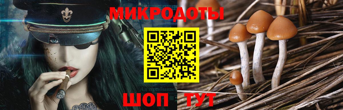 Галлюциногенные грибы мицелий  Вход с VPN  Томск 